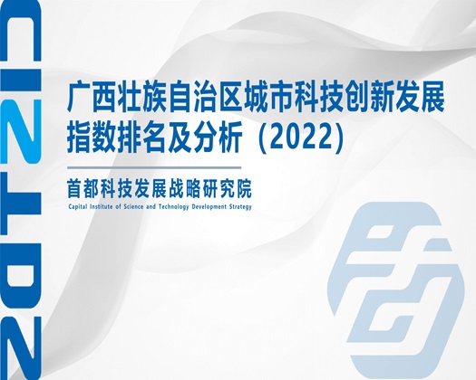 把美女老师往死里操抽查内射【成果发布】广西壮族自治区城市科技创新发展指数排名及分析（2022）